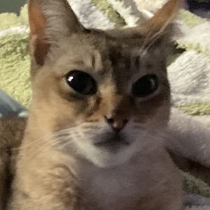 Meet your Posher, Zoe